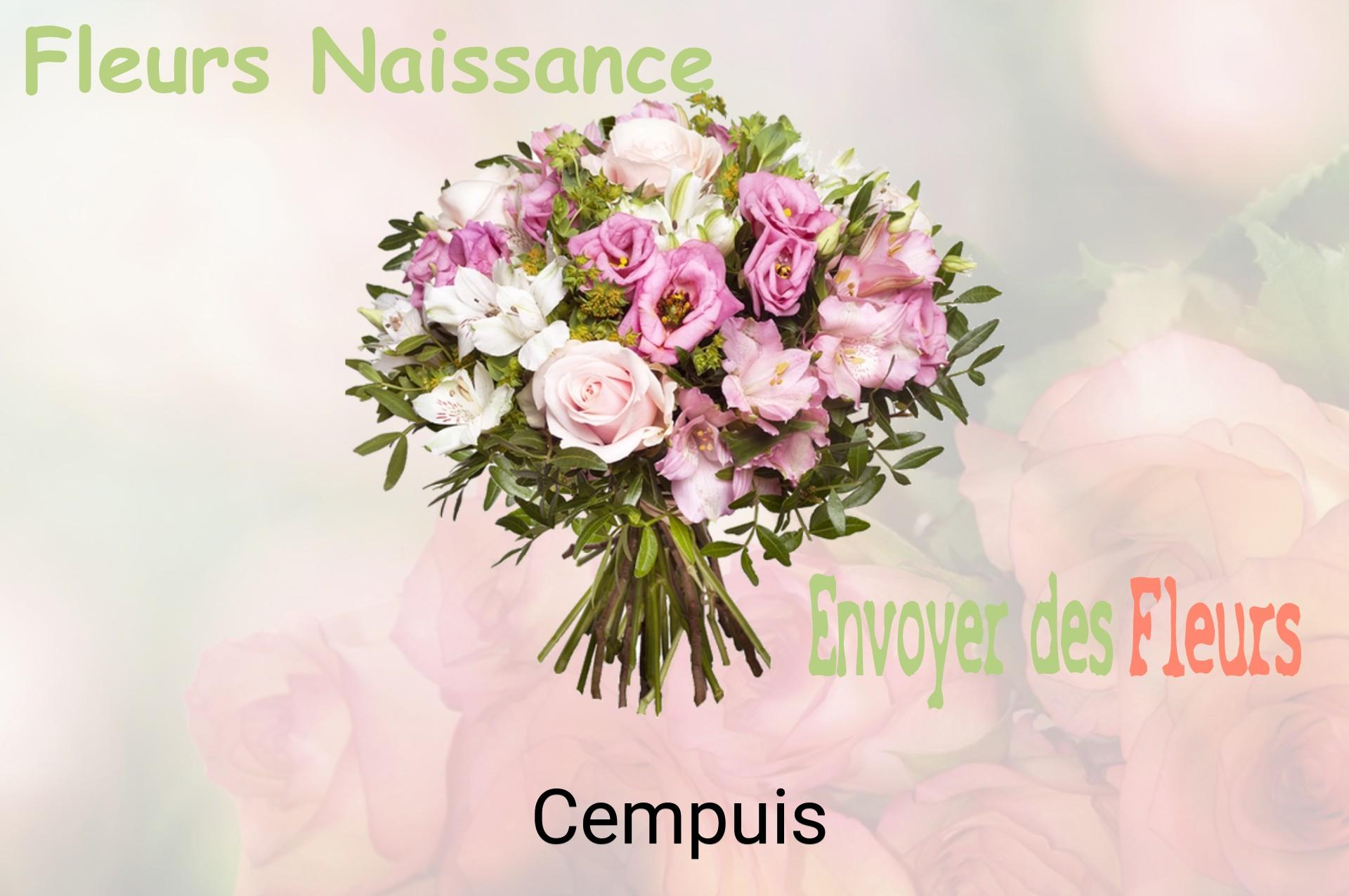 Bouquet de fleurs de naissance livré à Cempuis